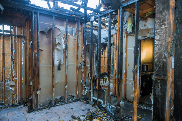 Professional Fire Damage Removal technician working in Springfield, VA