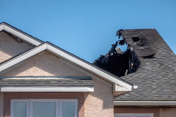 Top rated local Fire Damage Removal specialists in Springfield, VA